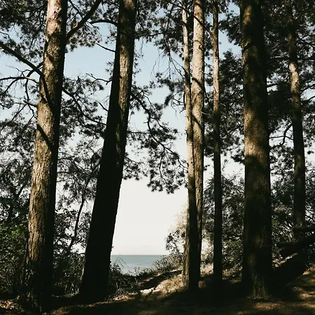 Karja * Narva-Jõesuu